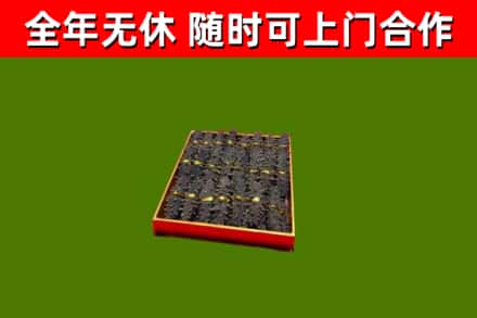 桃园回收海参